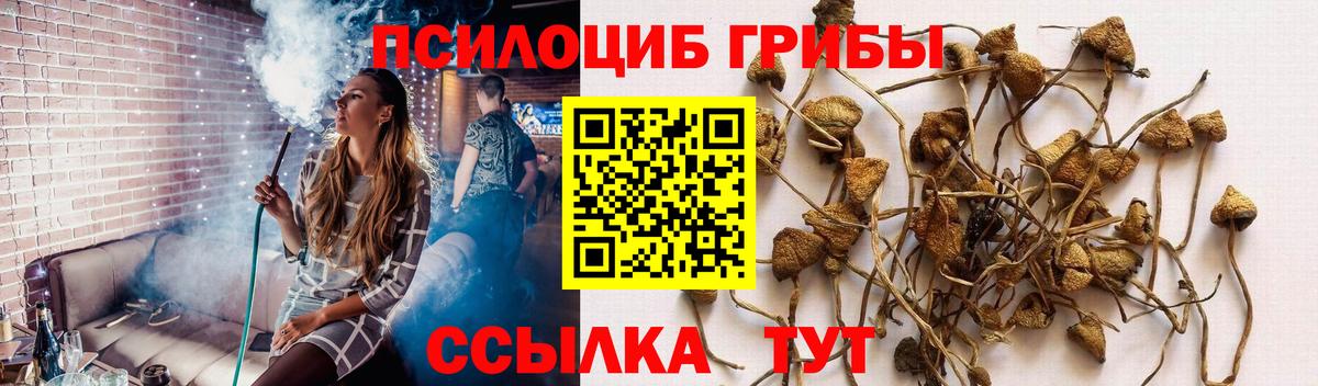 Пушкино  Псилоцибиновые грибы ЛСД  Вход с VPN 