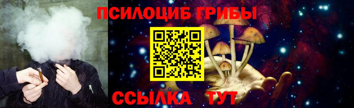Галлюциногенные грибы GOLDEN TEACHER Пушкино